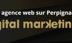 DIGITAL MARKETING 66