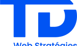 TD Web Stratégie