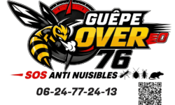 carte-de-visite-guepover-76-sos-anti-nuisibles