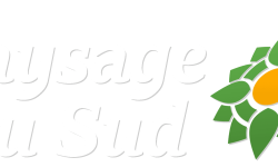 PAYSAGE DU SUD